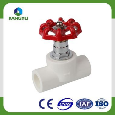 Dekorazzjoni tal-Familja Twaħħil tal-Pipe PPR Biex Tgħaqqad Il-Pajpijiet u Valvijiet PPR